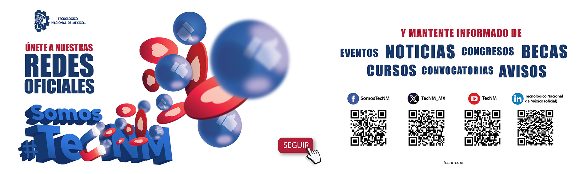 REDES TECNM