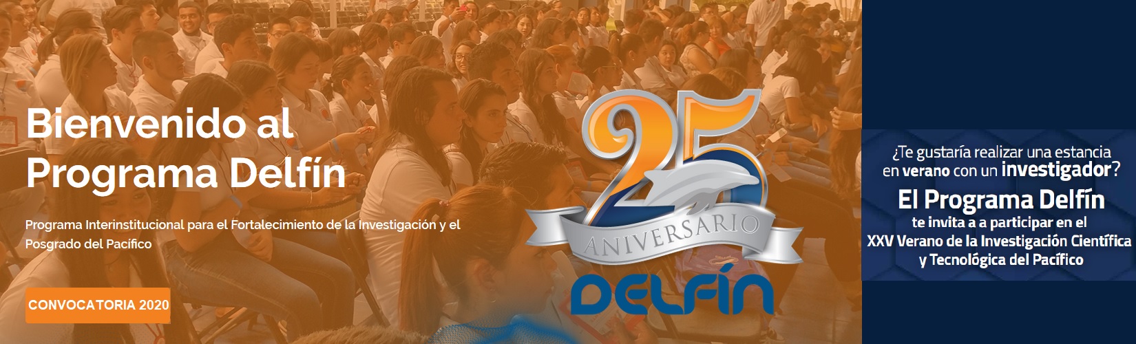 Acceso a sitio web de Programa Delfín